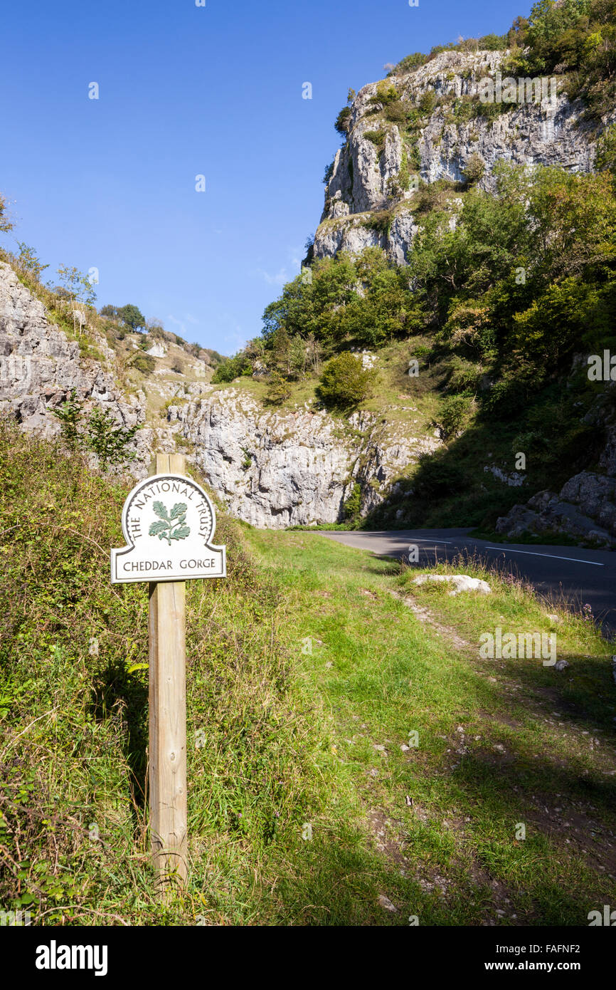 Cheddar Gorge - a limestone gorge in the Mendip Hills, Cheddar, Somerset UK Stock Photo