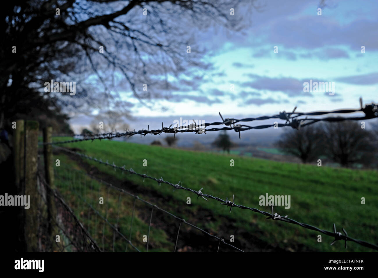 Barbed wire fence in the Welsh countryside, on the Graig Mountain above Cardiff. Stock Photo
