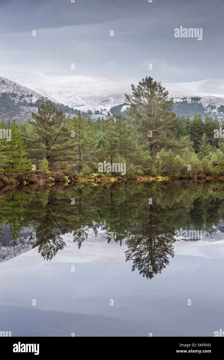 Uath Lochan & Cairngorms at Glen Feshie in Scotland. Stock Photo