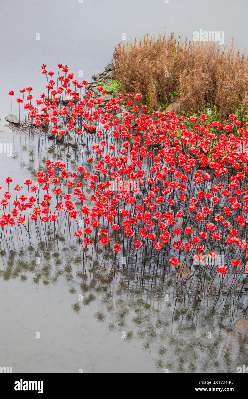 Red ceramic poppies forming part of 'Wave'  temporarily installed at  the Yorkshire Sculpture Park, Wakefield, West Yorkshire UK Stock Photo