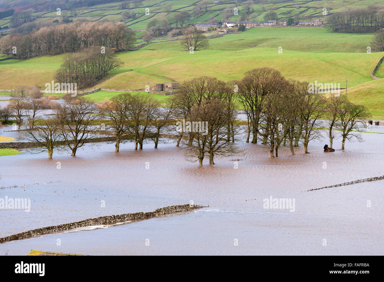 Flooded farmland along the river Ure near Hawes in upper Wensleydale, North Yorkshire. Stock Photo