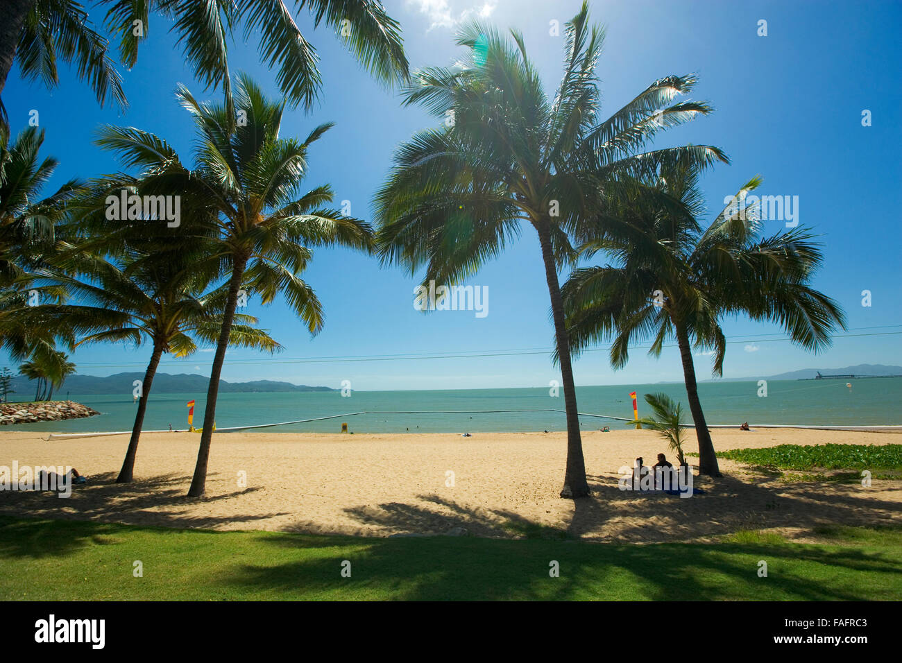 Palm trees and sea in Queensland Australia Stock Photo