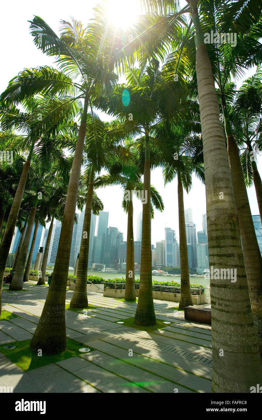 Cityscape of Singapore looking through palm trees Stock Photo Alamy