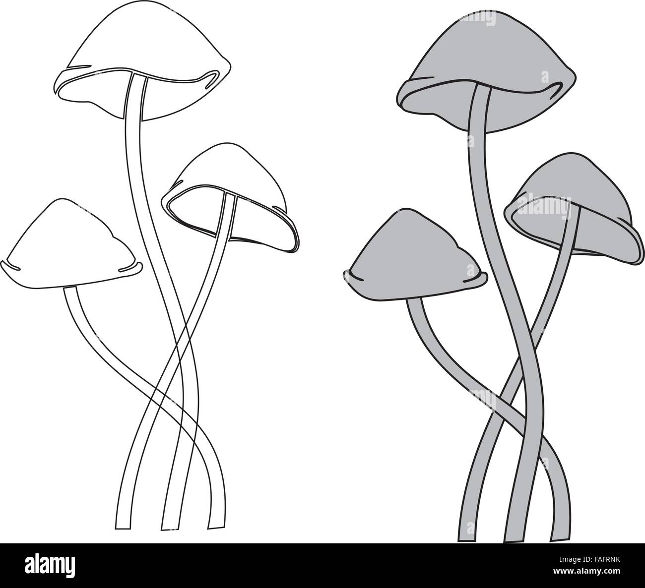 vector mushrooms toadstool Stock Vector