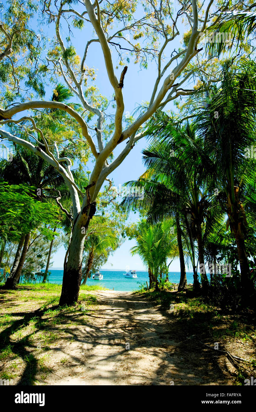 Looking down a sandy path to the ocean in Great Keppel Island, Australia. Stock Photo