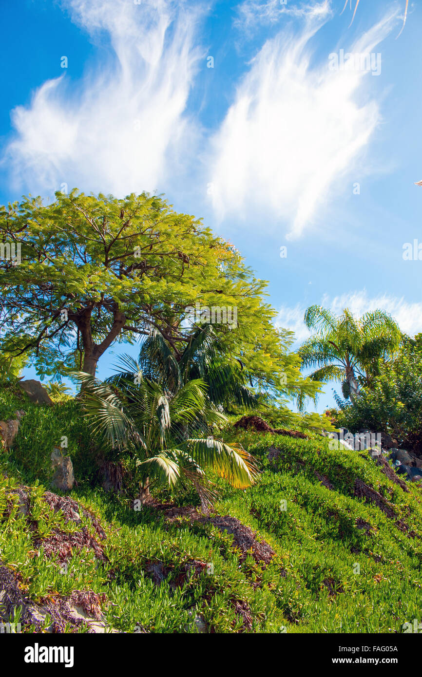 Nice park in the city with trees and grass Stock Photo - Alamy