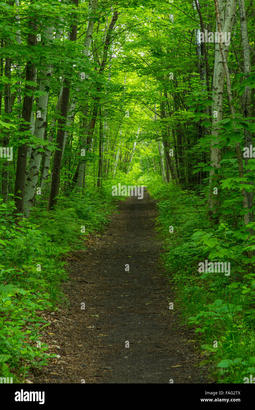 Woods and nobody hi-res stock photography and images - Alamy