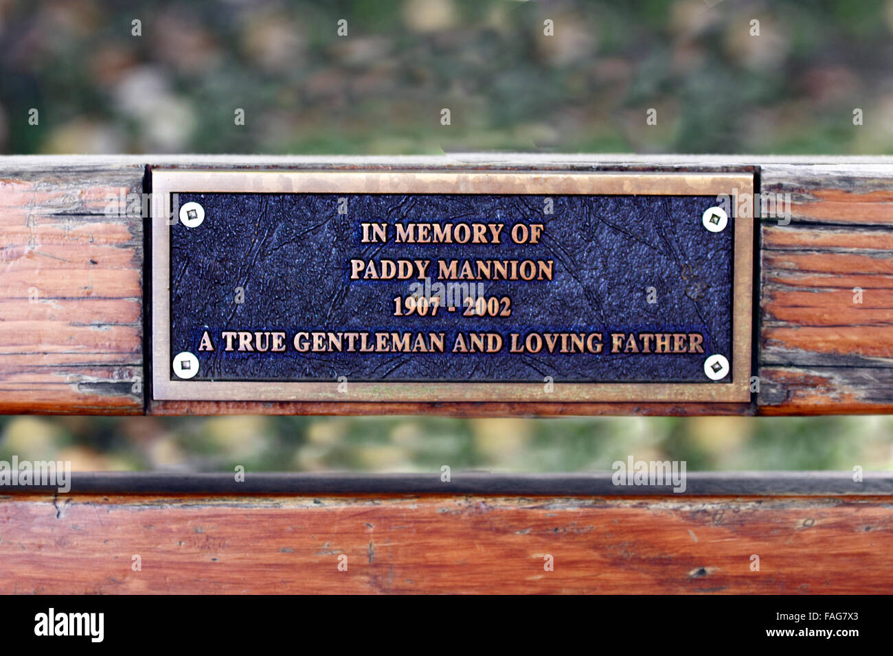 Bench plaque hi-res stock photography and images - Alamy