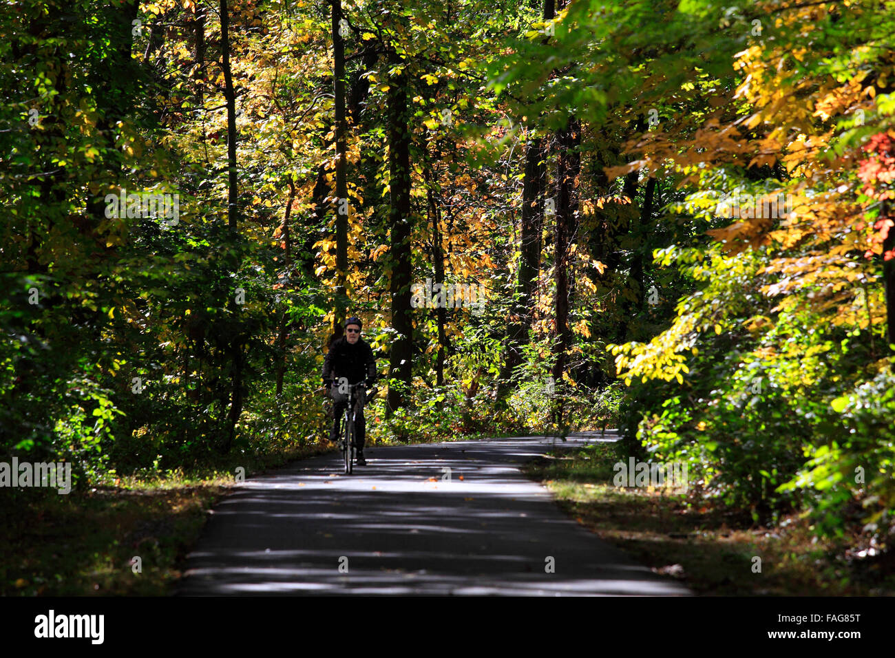 Cyclist on bike trail Tibbetts Brook Park Yonkers New York Stock Photo