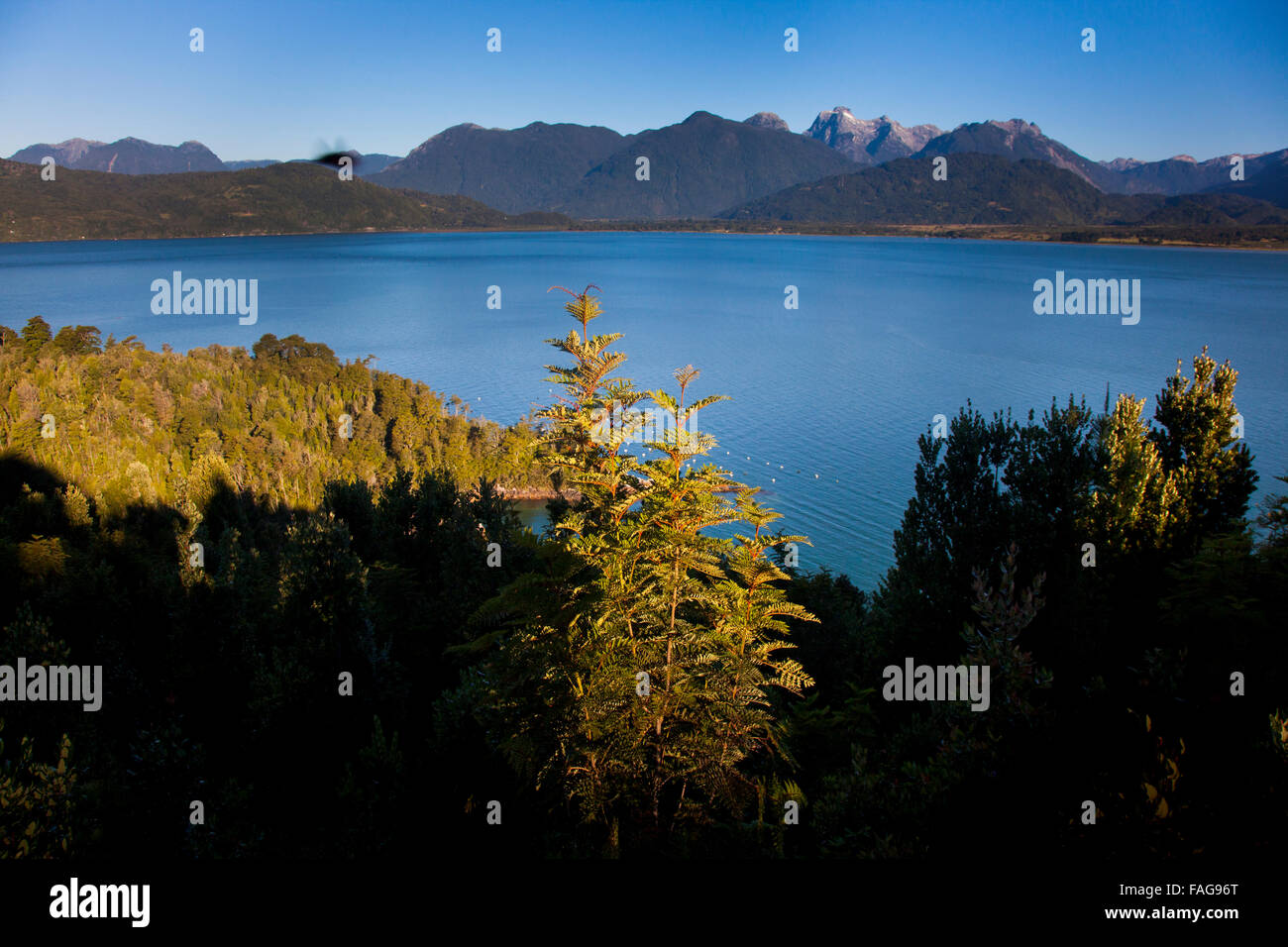 The mountainous and heavily forested Reloncaví Sound in Chile's northern Patagonia. Stock Photo