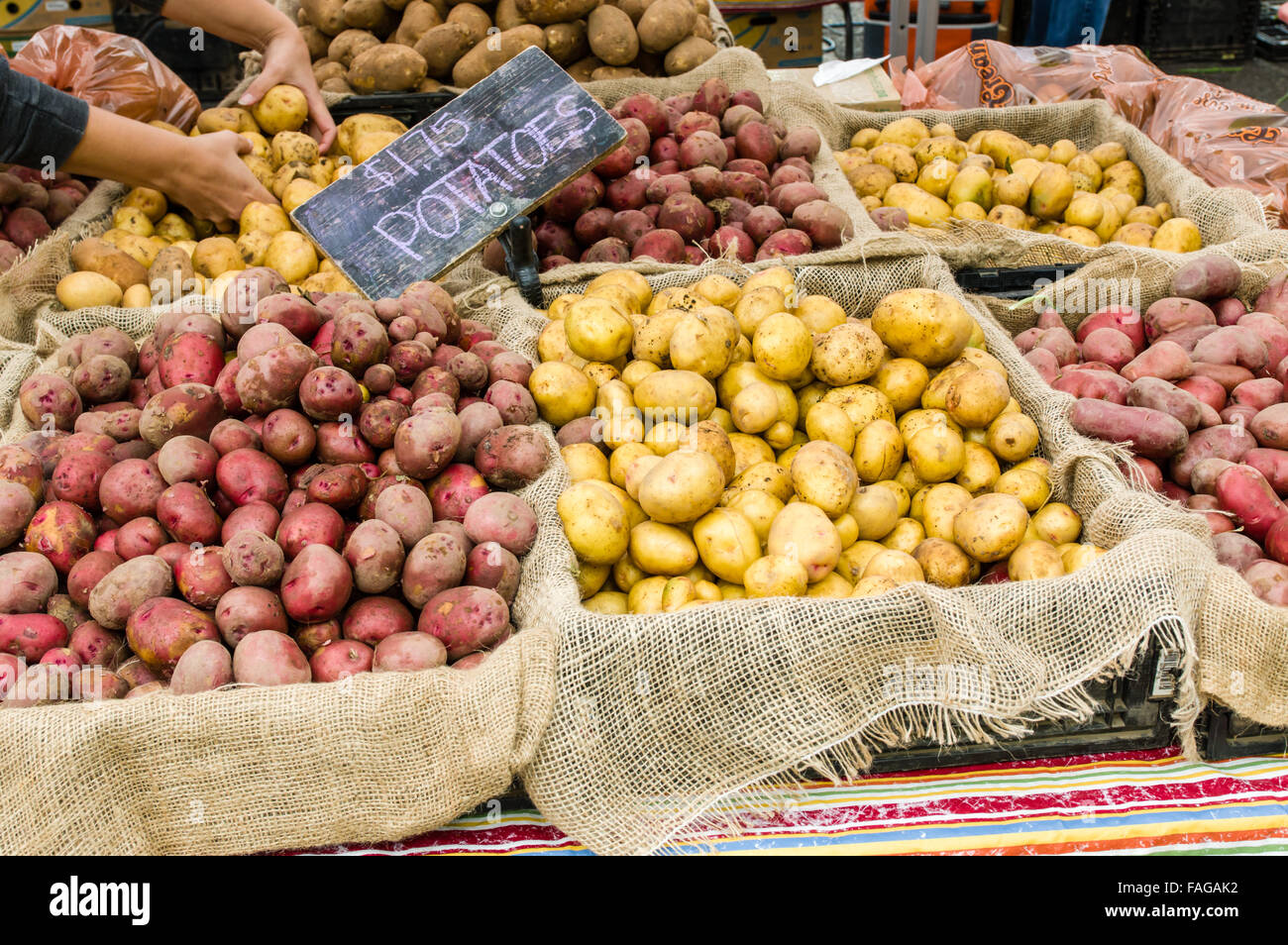 Display of red and white potatoes in burlap bins at a farmer's market in Beaverton, Oregon, USA Stock Photo