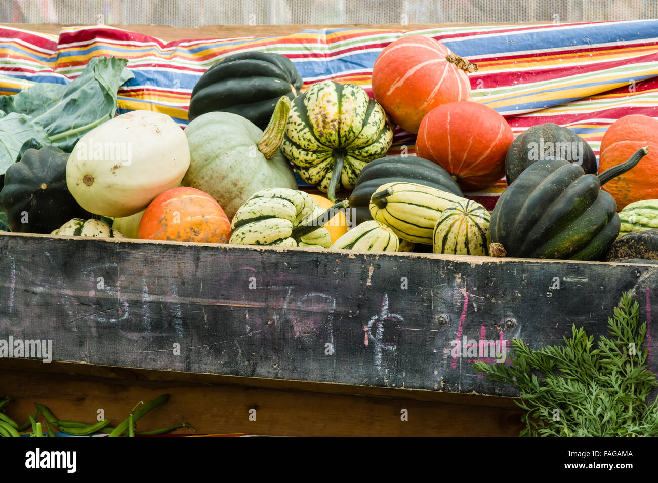 Display of acorn squash and winter squash at a farm market in Beaverton, Oregon, USA Stock Photo