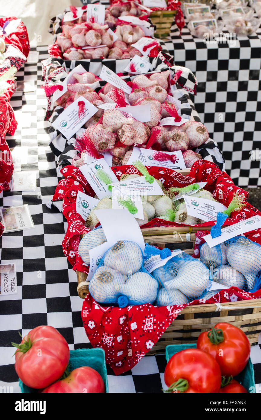 Display of garlic in mesh bags at a farmer's market in Beaverton, Oregon, USA Stock Photo