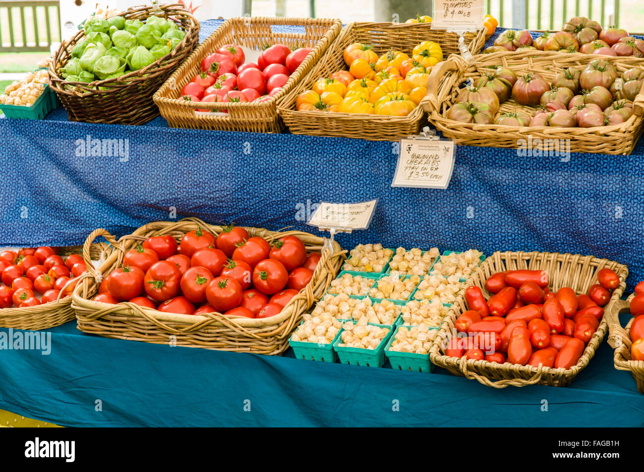 Display of tomatoes in baskets at a farmer's market in Beaverton, Oregon, USA Stock Photo