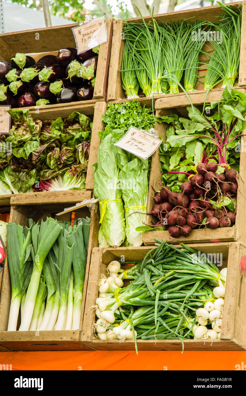 Fresh produce including leeks, onions and beets displayed in wooden boxes at a farmers market in Beaverton, Oregon, USA Stock Photo