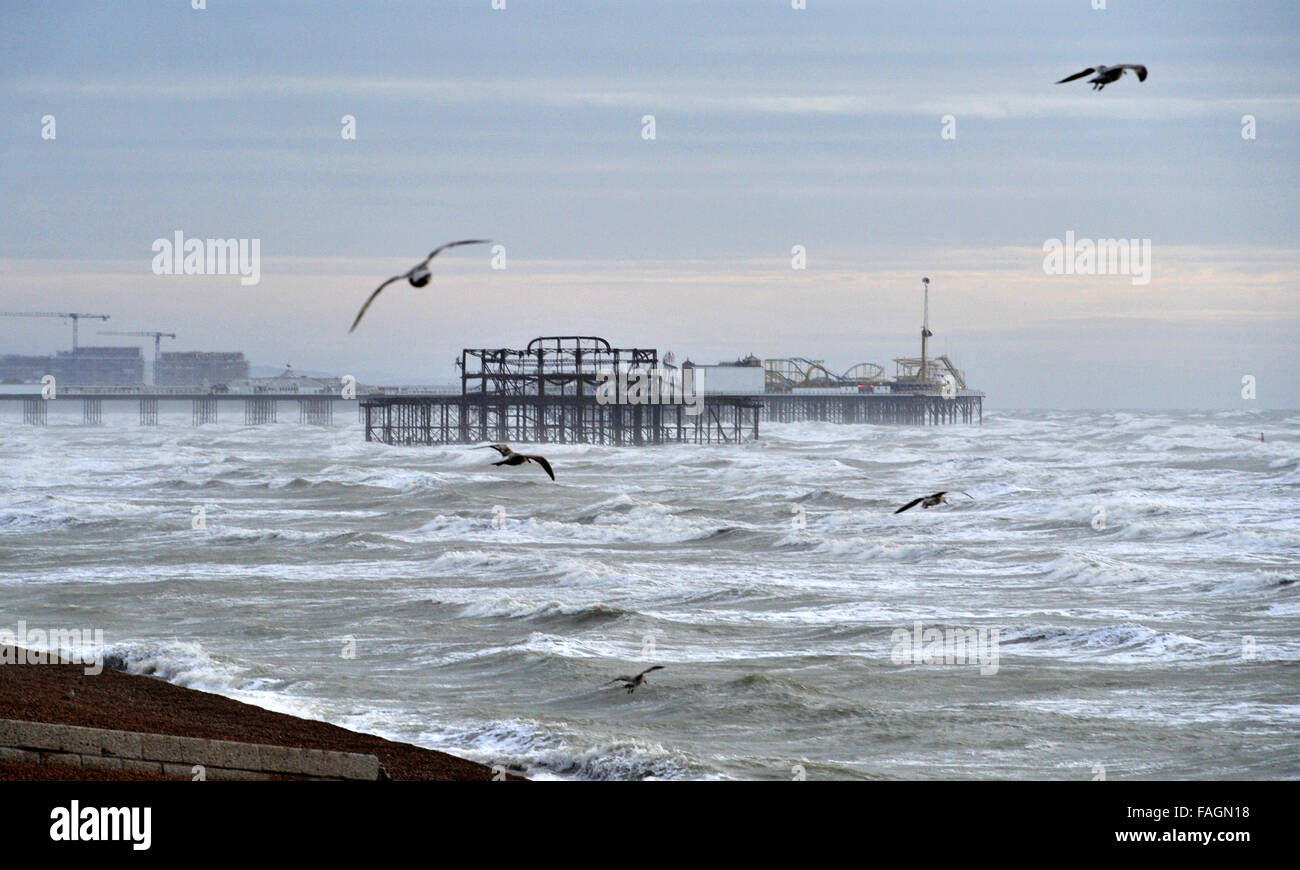 Brighton, Sussex, UK. 30th Dec, 2015. Seagulls glide on the high winds with Brighton's West Pier and Palace Pier in the background on the south coast as Storm Frank hits northern parts of Britain today Photograph taken by Simon Dack/Alamy Live News Stock Photo