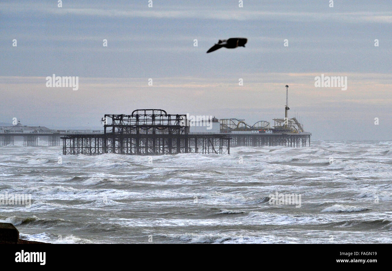 Brighton, Sussex, UK. 30th Dec, 2015. Seagulls glide on the high winds with Brighton's West Pier and Palace Pier in the background on the south coast as Storm Frank hits northern parts of Britain today Photograph taken by Simon Dack/Alamy Live News Stock Photo