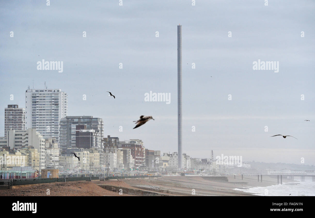 Brighton, Sussex, UK. 30th Dec, 2015. Seagulls glide on the high winds with Brighton's seafront and i360 observation tower in the background on the south coast as Storm Frank hits northern parts of Britain today Photograph taken by Simon Dack/Alamy Live News Stock Photo