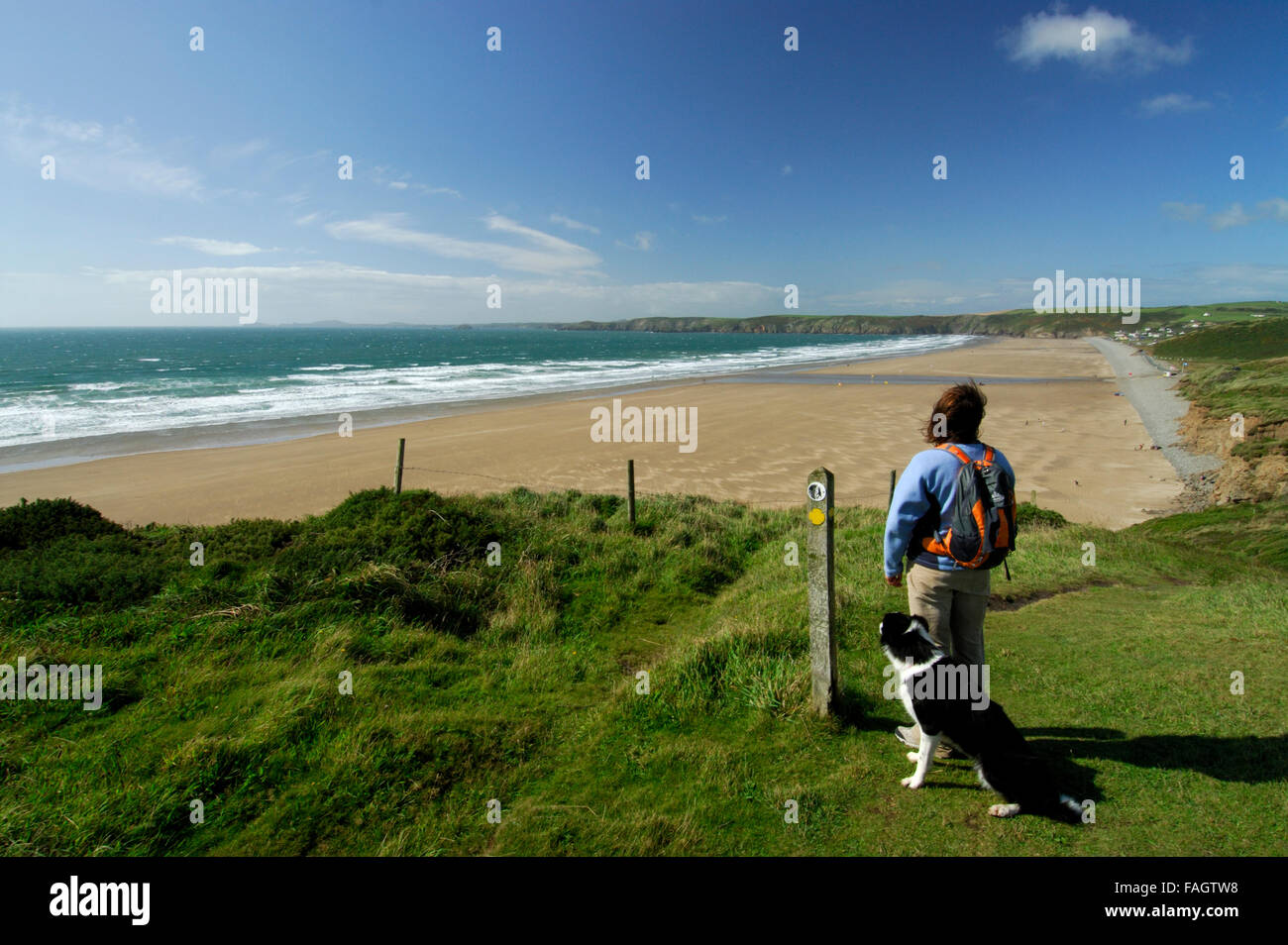 Female walker and dogs on the coast path. Newgale beach and St.Brides Bay.Pembrokeshire Coast National Park Wales UK. Stock Photo