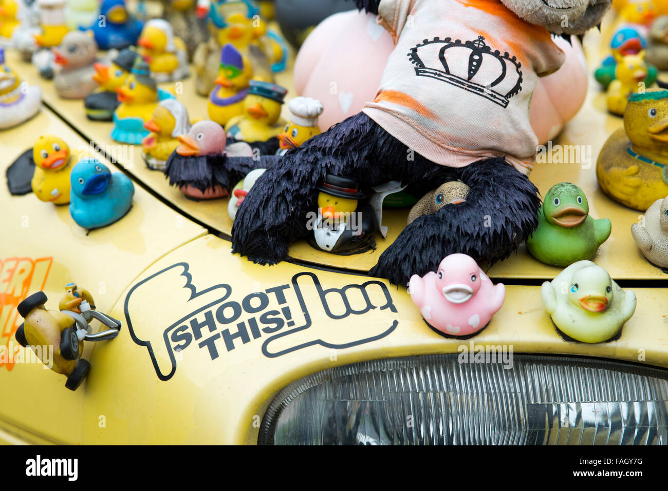 many rubber ducks on car Stock Photo Alamy