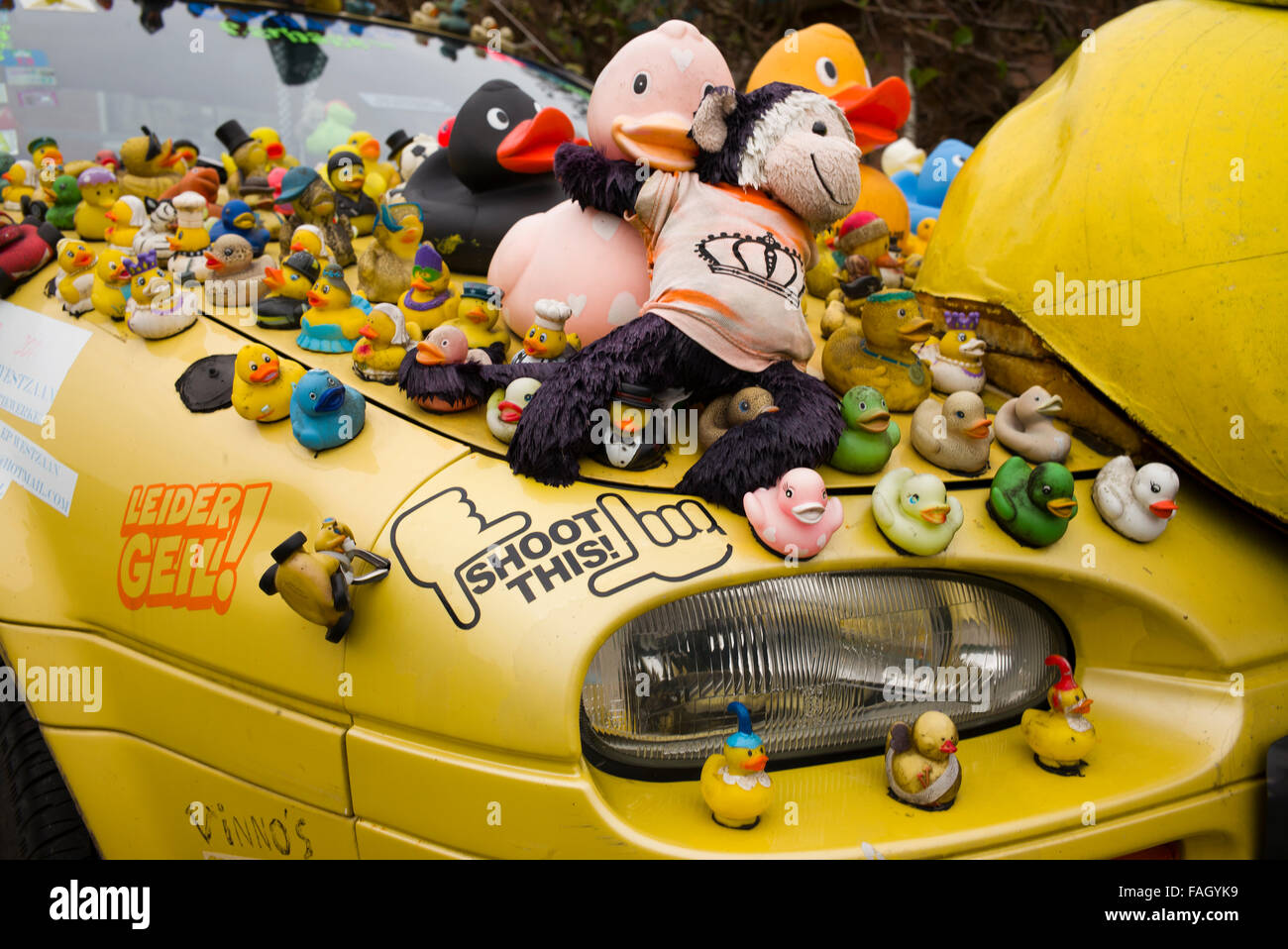 many rubber ducks on car Stock Photo Alamy