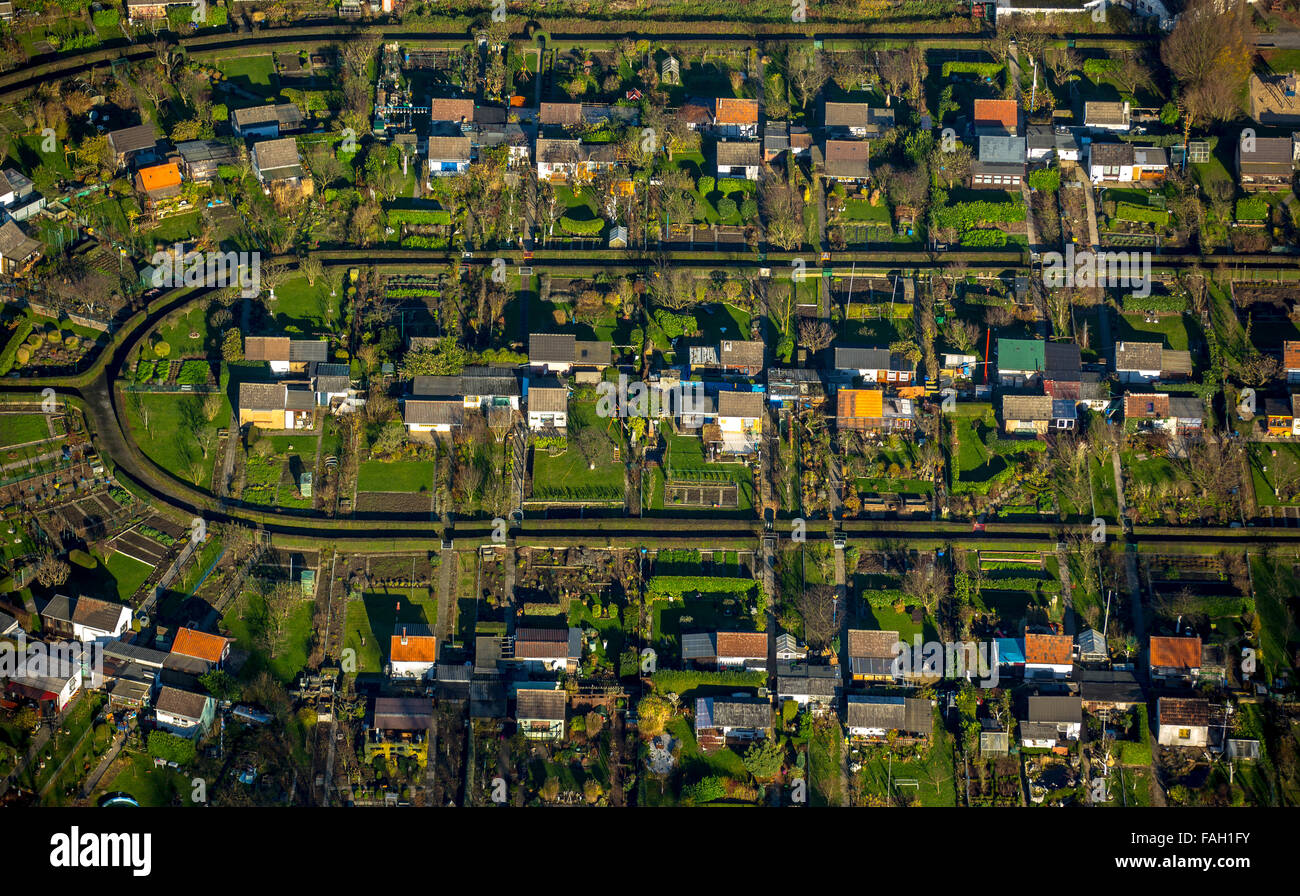 Harpener Heide allotments, Bochum, Ruhr district, North Rhine-Westphalia, Germany Stock Photo