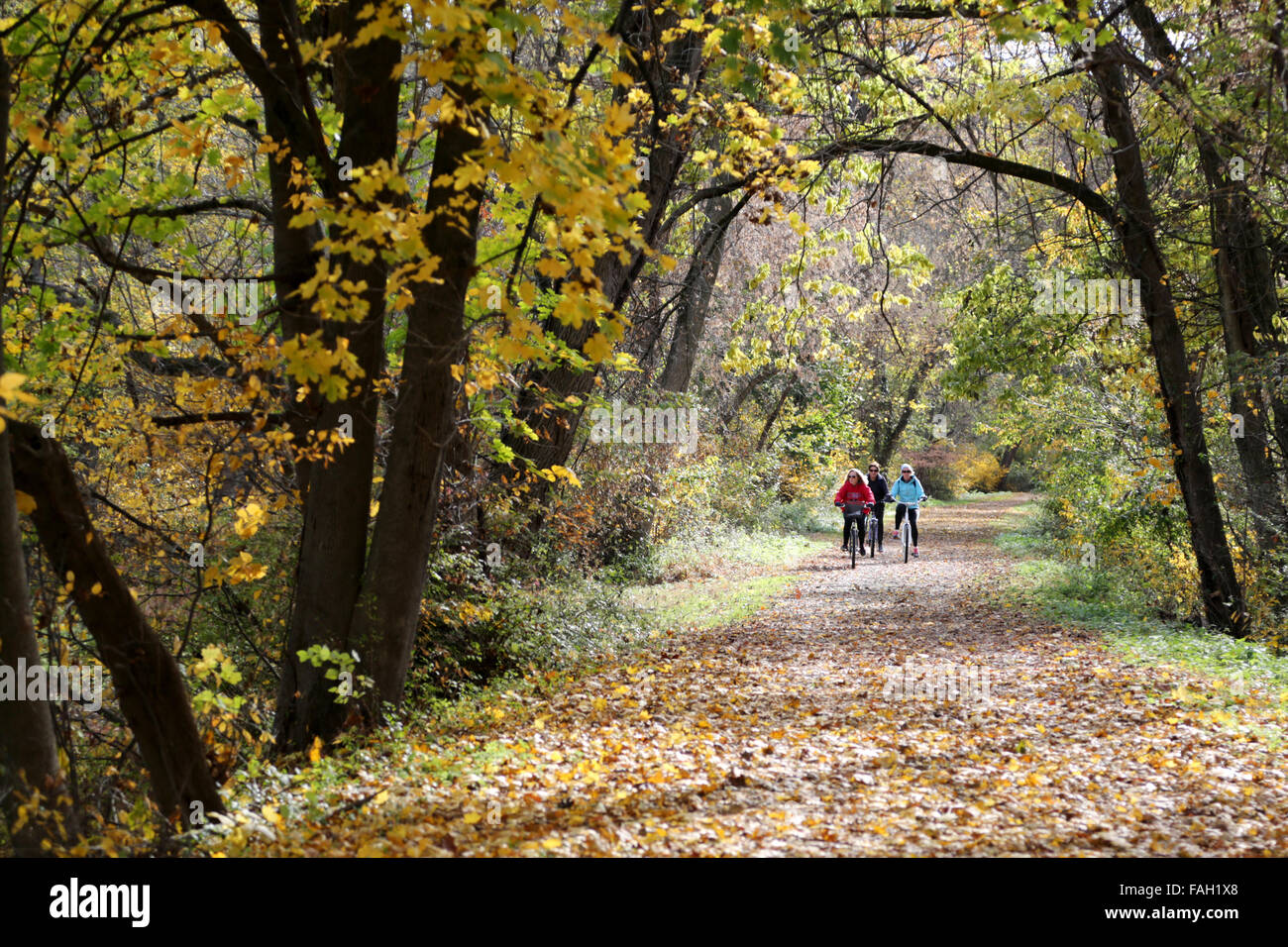 A group of people cycling on a trail covered in fallen leaves on a cold morning Stock Photo