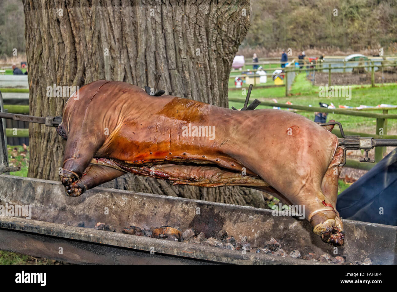 Rare breed pig roast, Christmas Market, Jimmy's Farm, Wherstead, Ipswich, Suffolk, UK, December 2015 Stock Photo