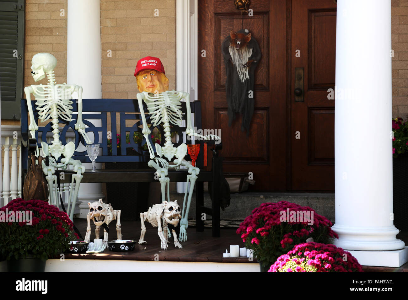 A comical Donald Trump mask on a Halloween skeleton veranda decoration outside a house in New Hope, Pennsylvania, North America Stock Photo
