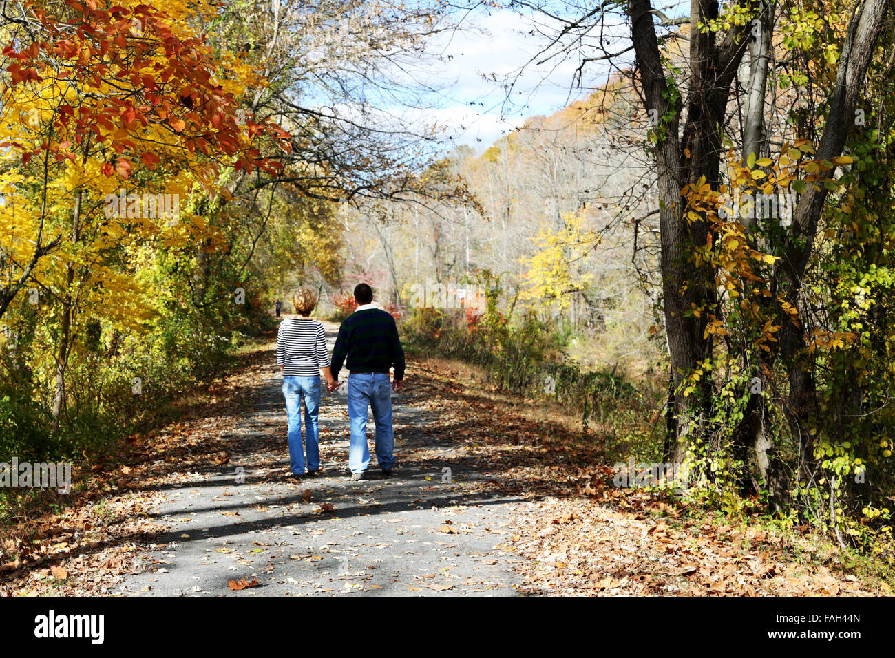 a couple walking hand in hand along a trail surrounded by colourful ...