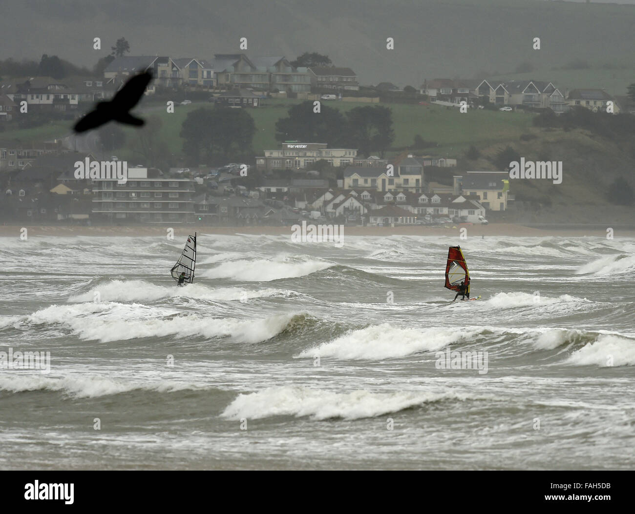Dorset, UK. 30th Dec, 2015. Winsurfers, Weymouth beach. Credit:  Dorset Media Service/Alamy Live News Stock Photo