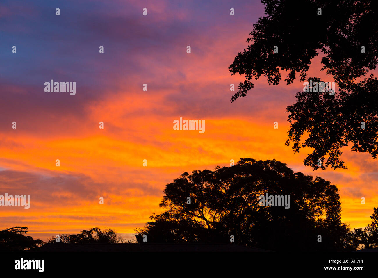 Bright colorful sunrise sky over Florida Stock Photo