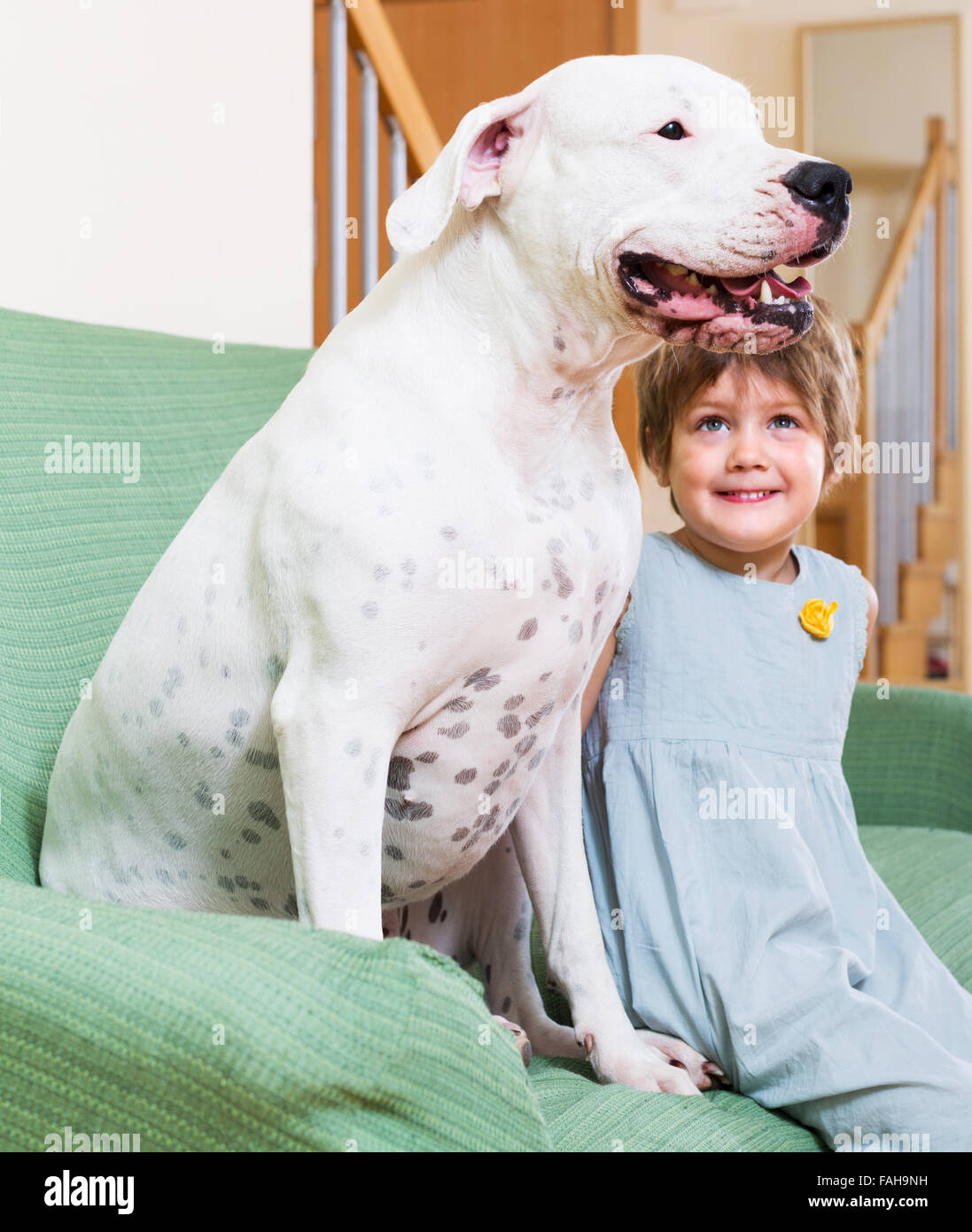 Baby dogo cheap