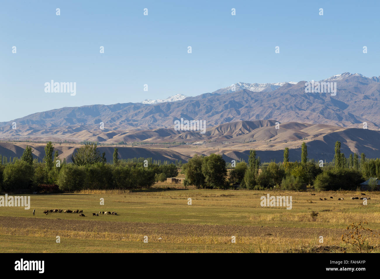 Beautiful landscape close to Toktogul in Kyrgyzstan. Stock Photo