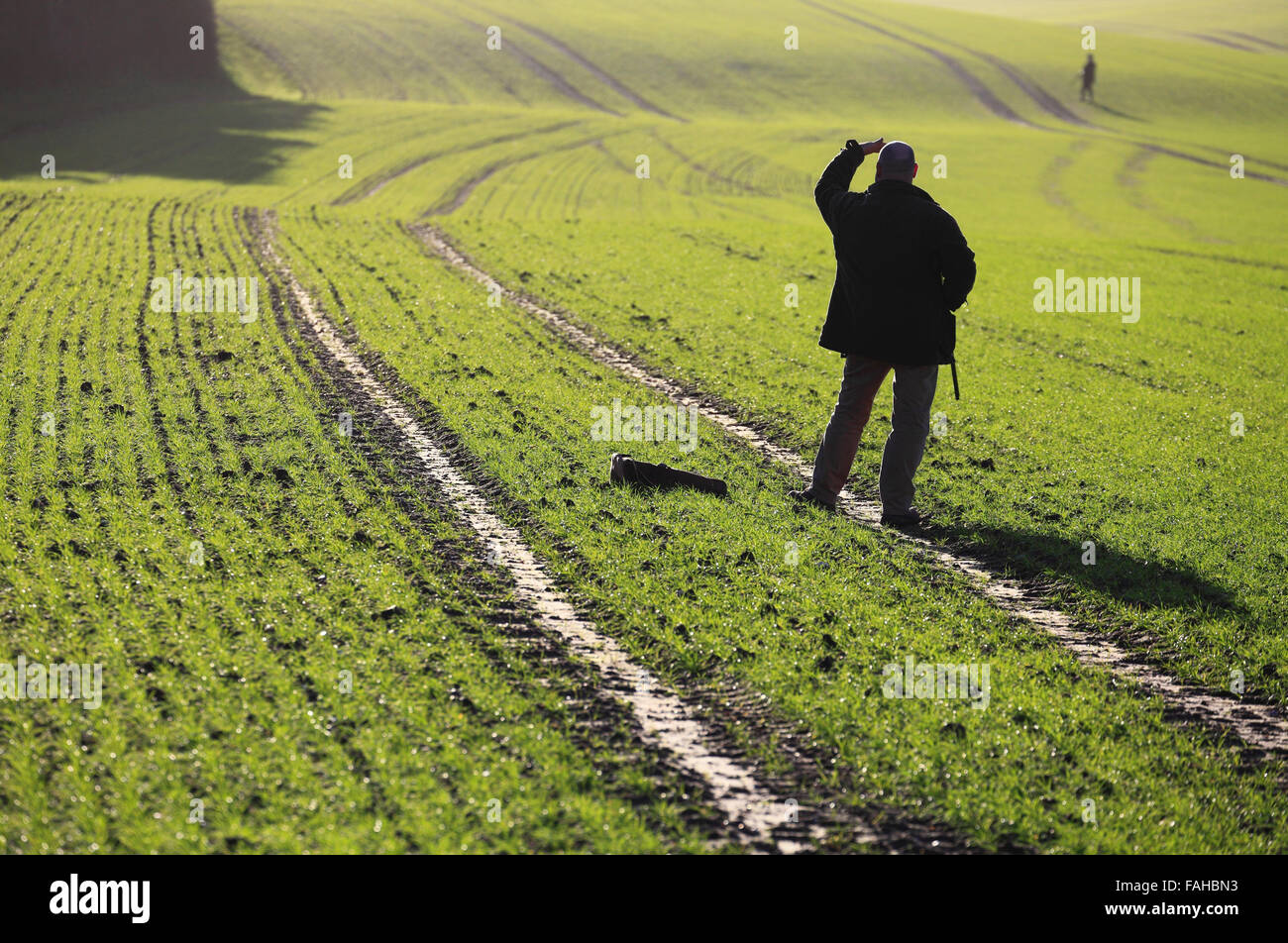 A man watching for birds during a winter shoot on farmland in North Norfolk. Stock Photo