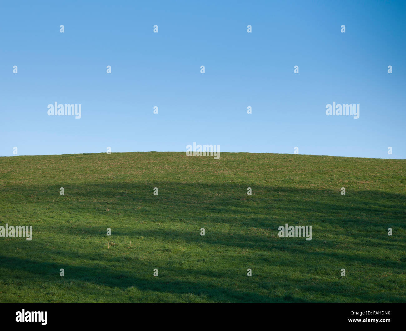 Green meadow with blue sky in the English countryside Stock Photo - Alamy