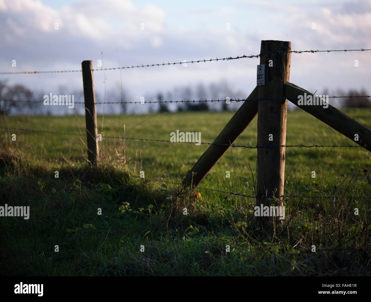 Barbed wire fence Stock Photo