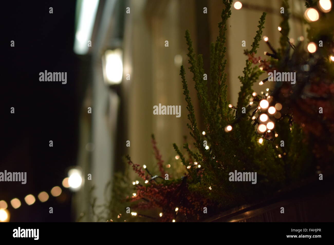 Flowers on a window sill Stock Photo - Alamy