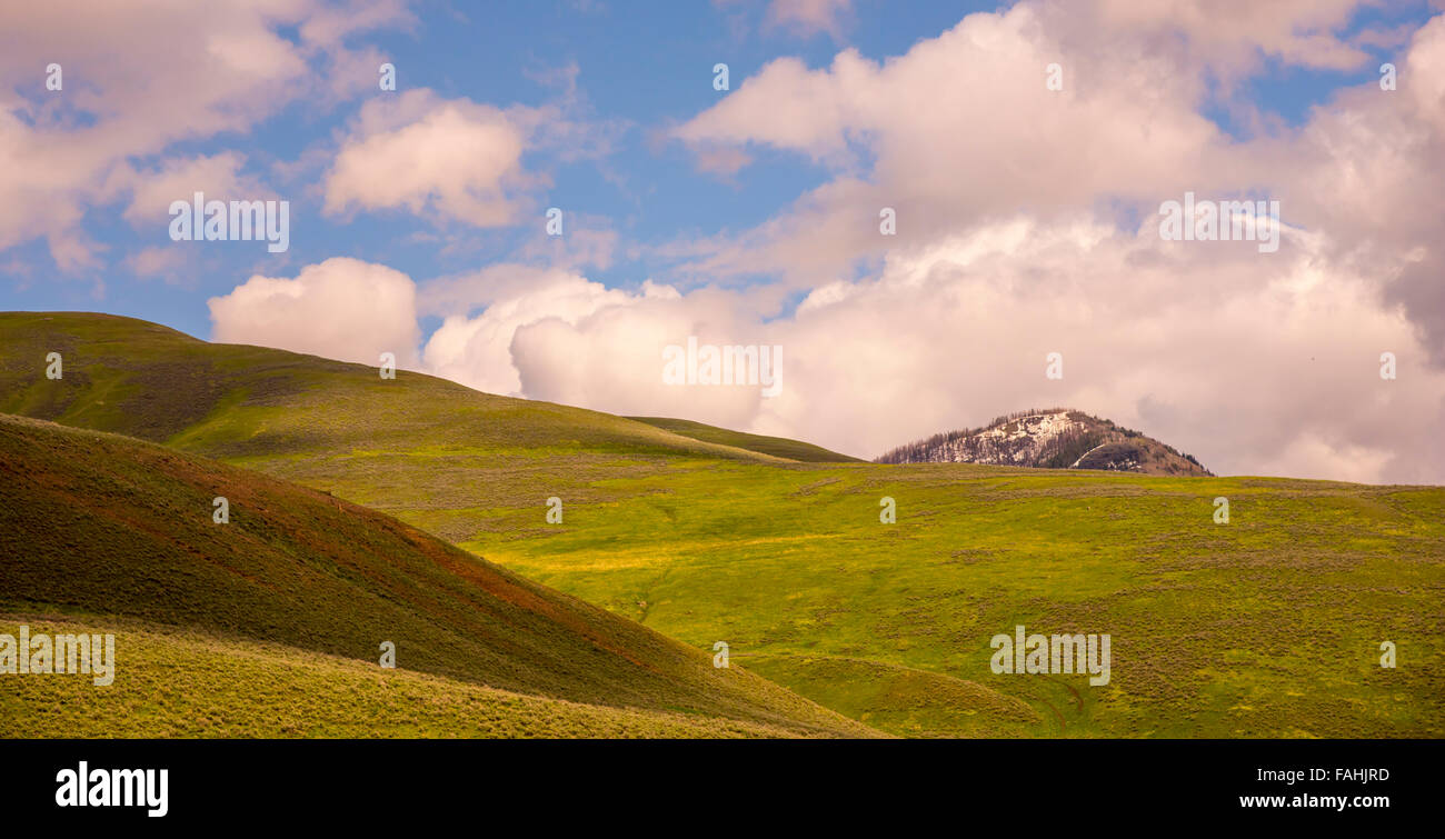 Spring landscape of rolling hills and snow covered mountain, Lamar Valley, Yellowstone National Park, Wyoming, USA Stock Photo