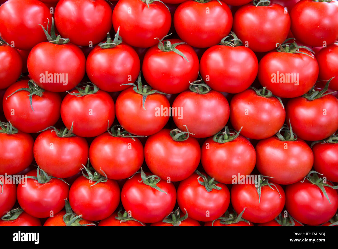 Tomatos in row as background. Stock Photo