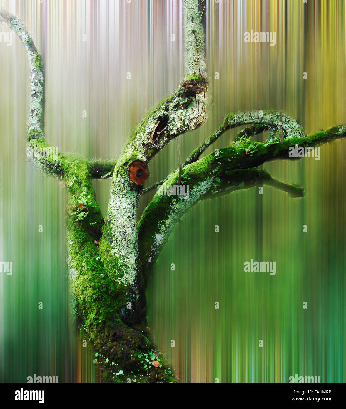 Beautiful landscape camera in motion hi-res stock photography and ...