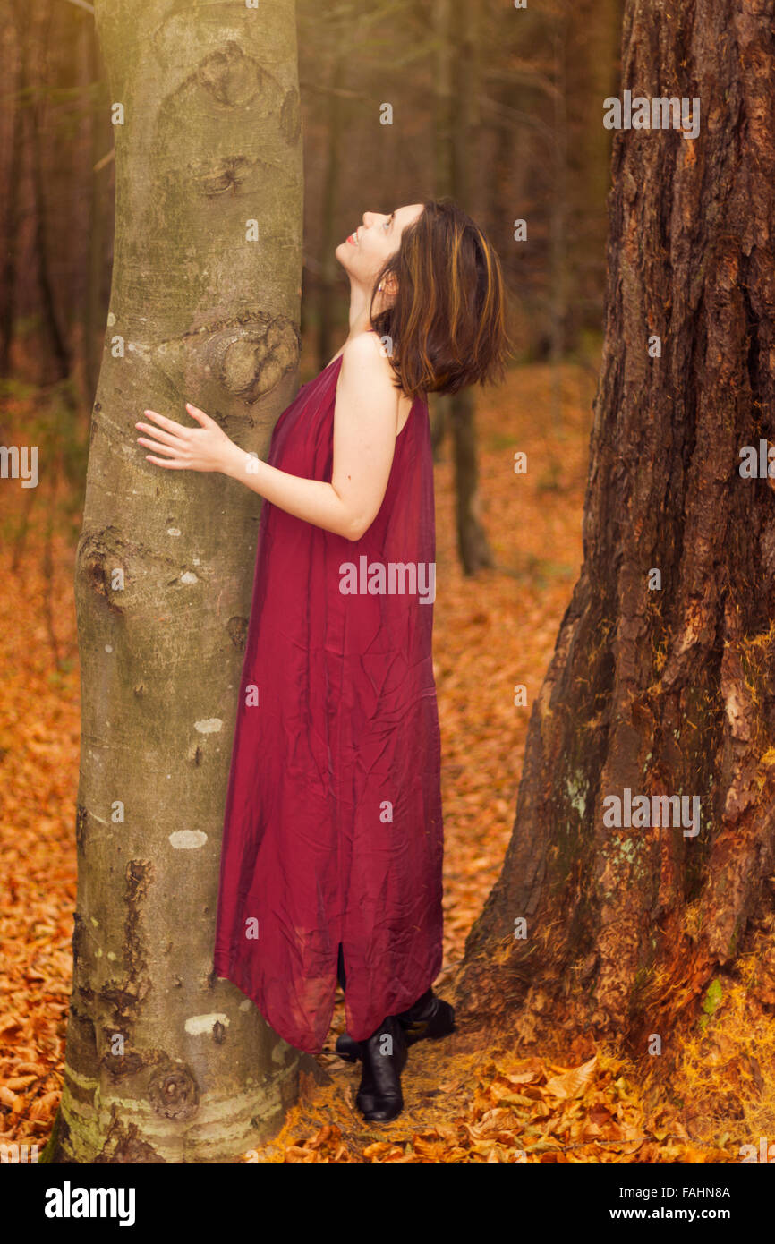 Women in burgundy dress staring up hugging a pine trunk Stock Photo