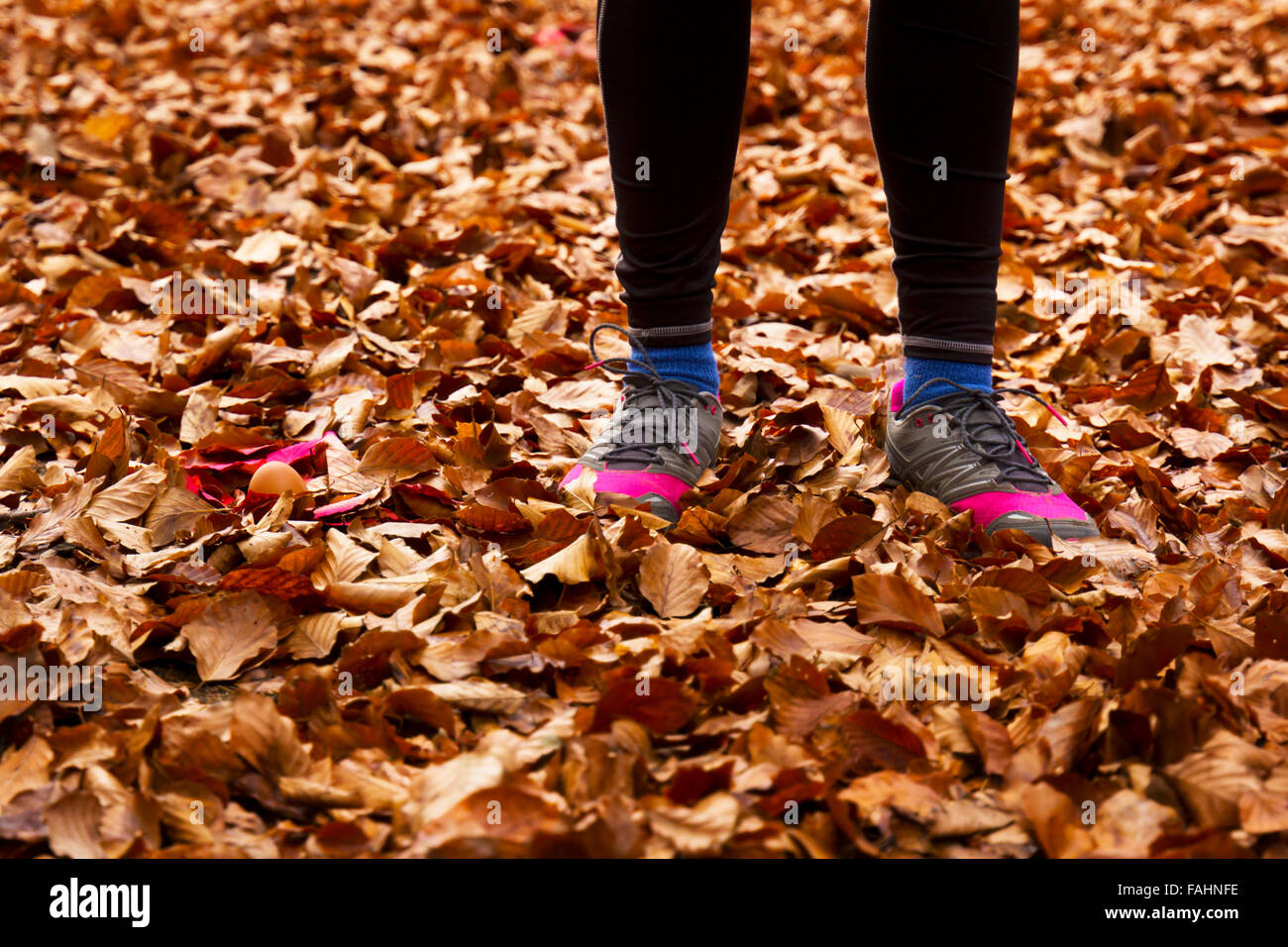 Woman legs near an egg in autumn foliage Stock Photo Alamy