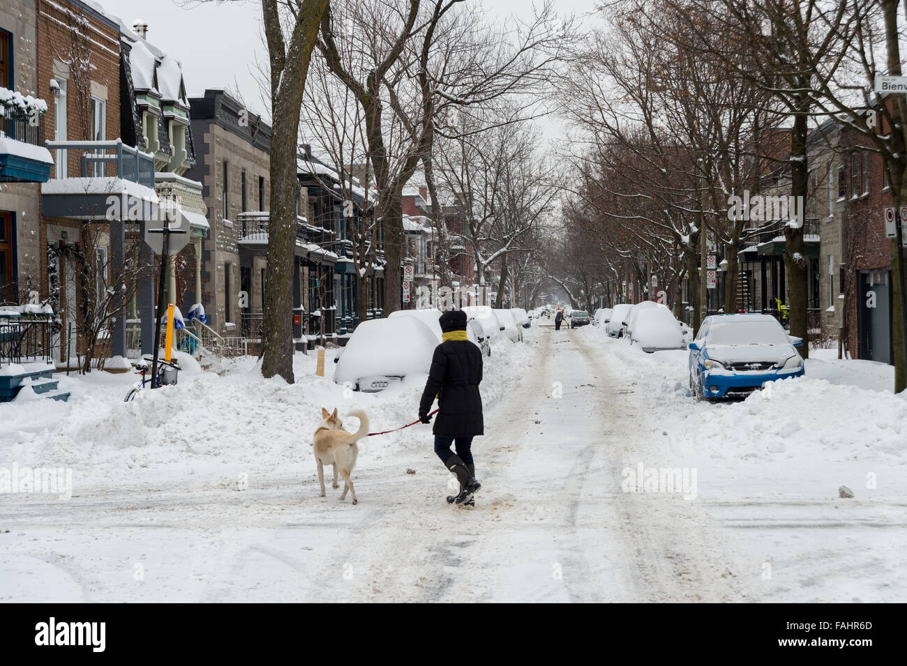 Montreal Canada 30 December 2015 Cars Covered With Snow After
