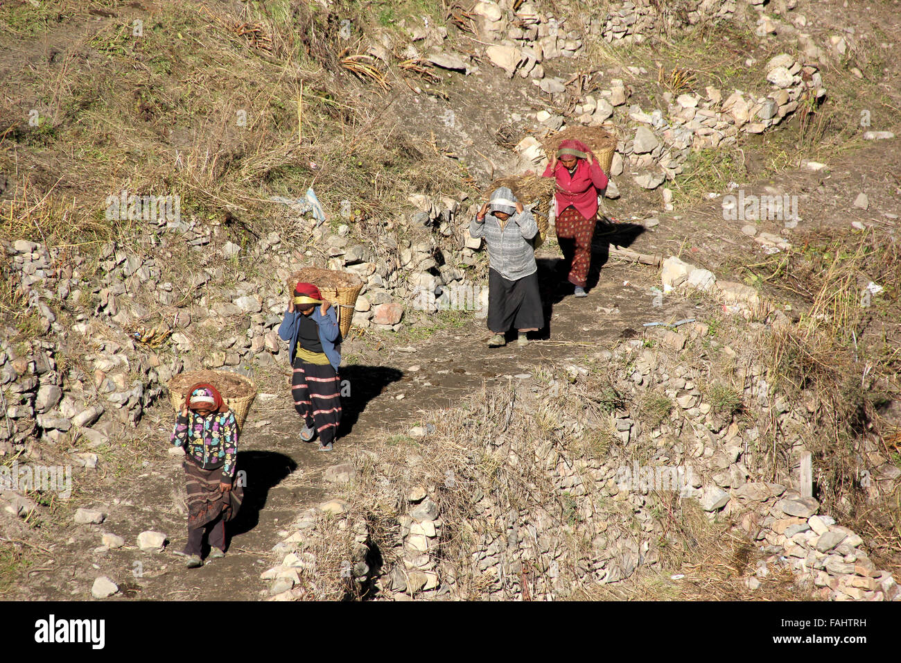 Nepali Women Come Back from the Fields Stock Photo