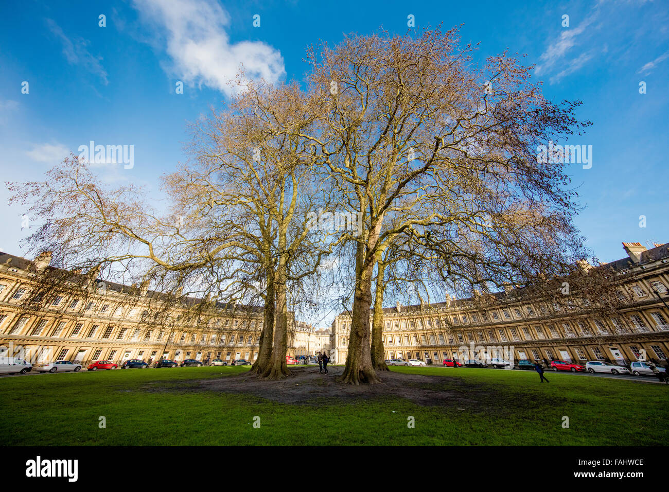 Wideangle view of The Circus designed by Georgian architect John Wood with its ancient London Plane trees in Bath UK Stock Photo