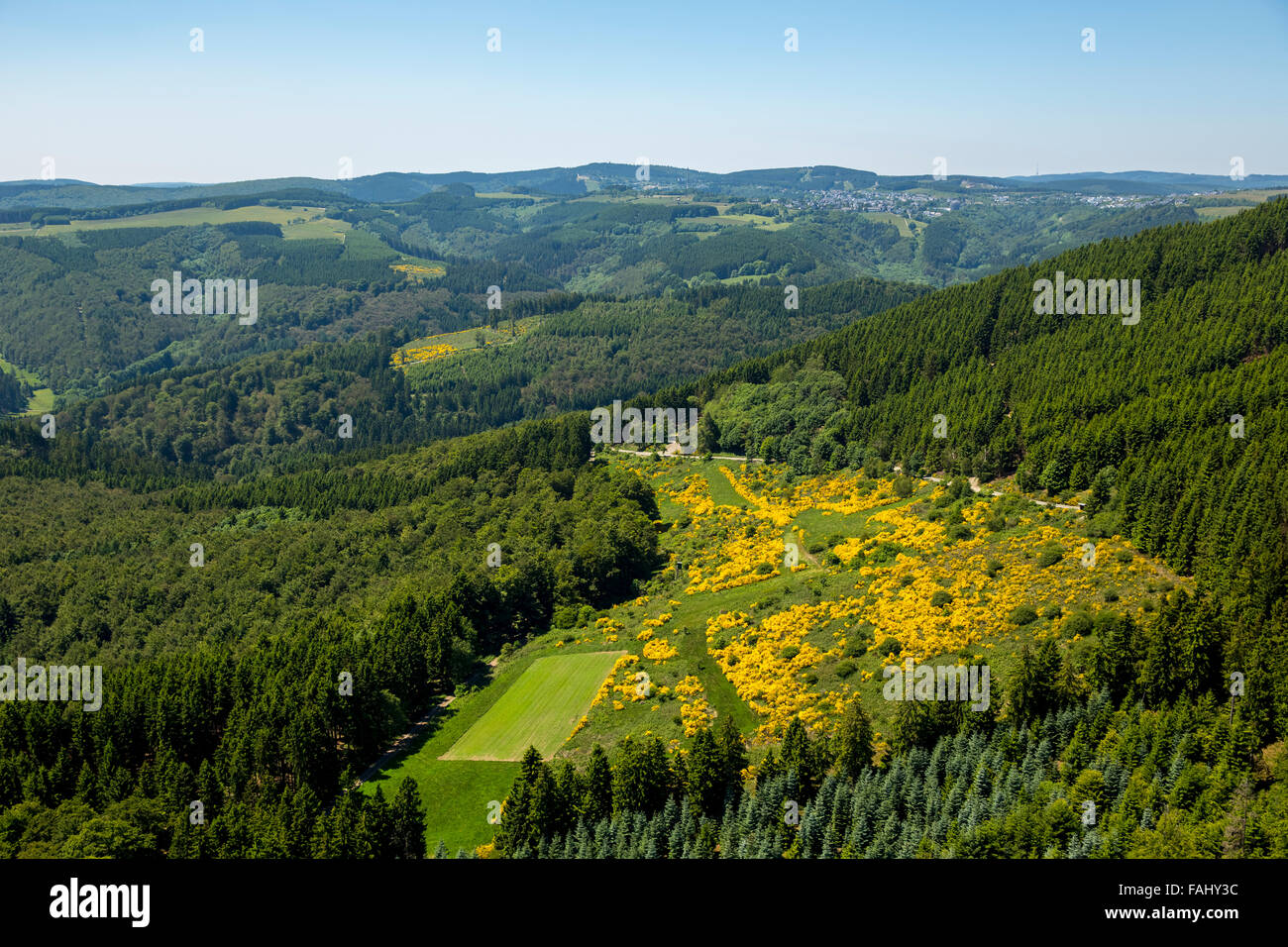 Aerial view, mountain landscape with gorse meadows, forest reserve Glindfeld, Winterberg Stadtgrenze Medebach, Sauerland, Stock Photo
