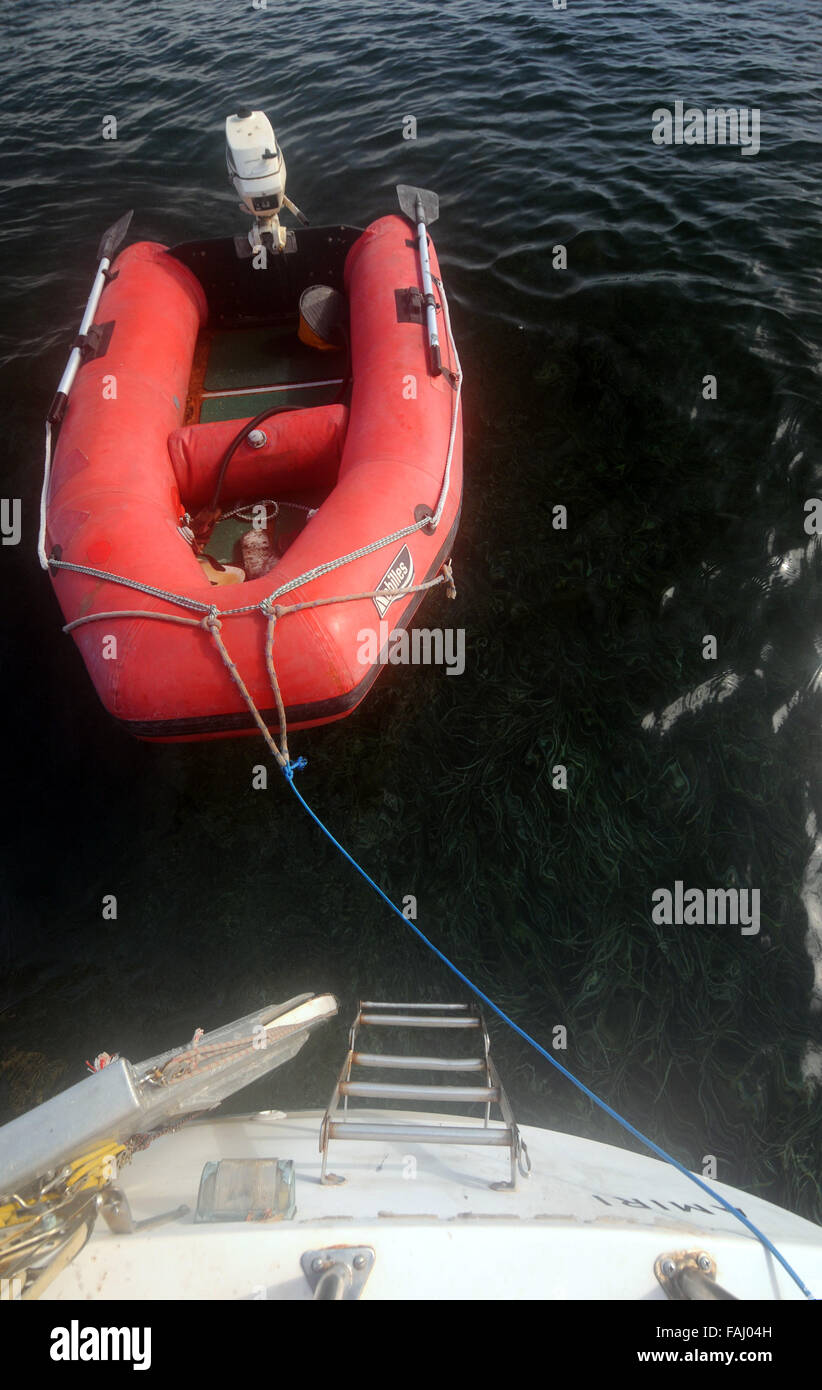 Red inflatable boat tied onto back of yacht over shallow seagrass. Sailing in Albany, Western Australia. No PR Stock Photo
