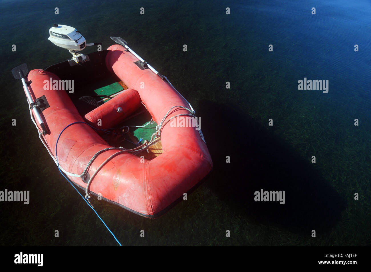 Red inflatable boat floating over seagrass, Princess Royal Harbour, Albany, Western Australia. No PR Stock Photo