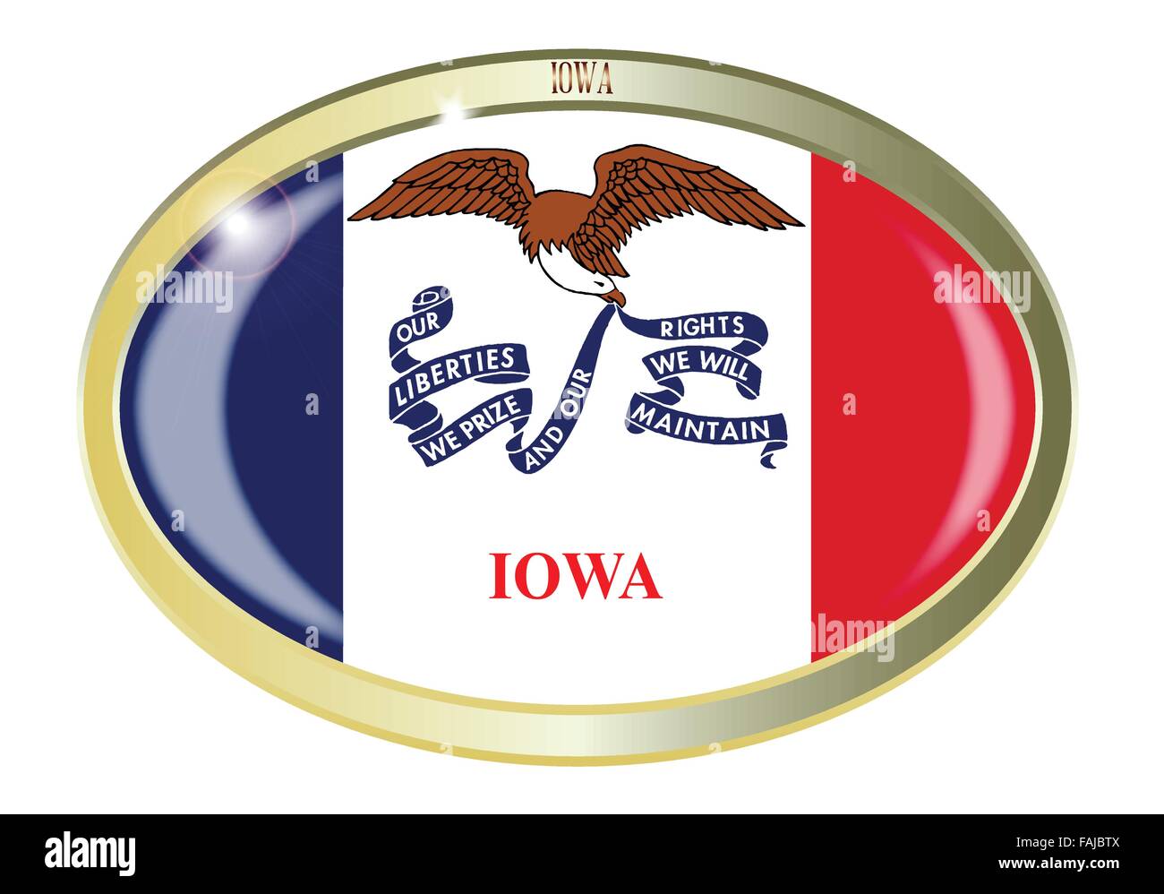 Oval metal button with the Iowa flag isolated on a white background Stock Vector